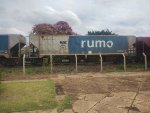 RUMO HPT-032719-1